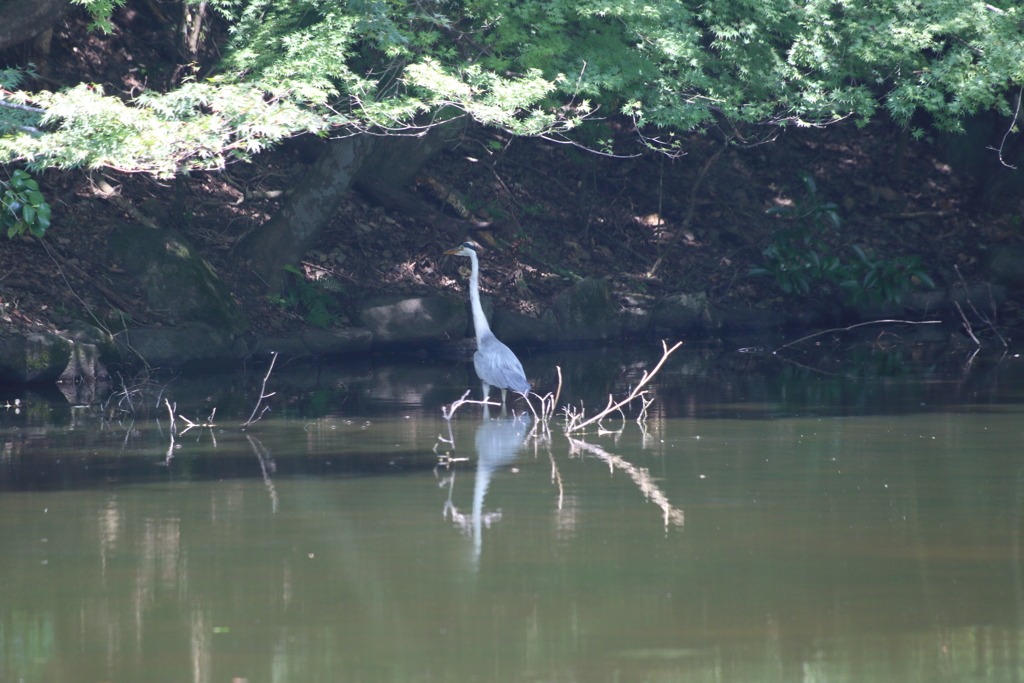 日陰でちょっと休憩