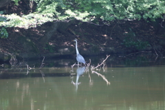 日陰でちょっと休憩