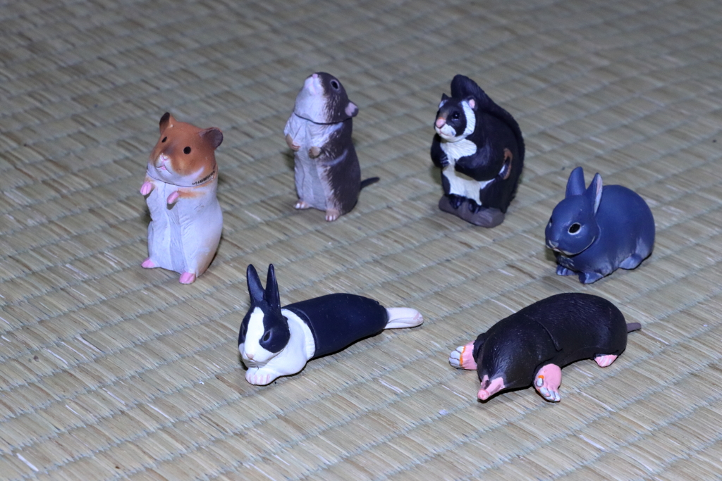 チョコエッグ（小動物）