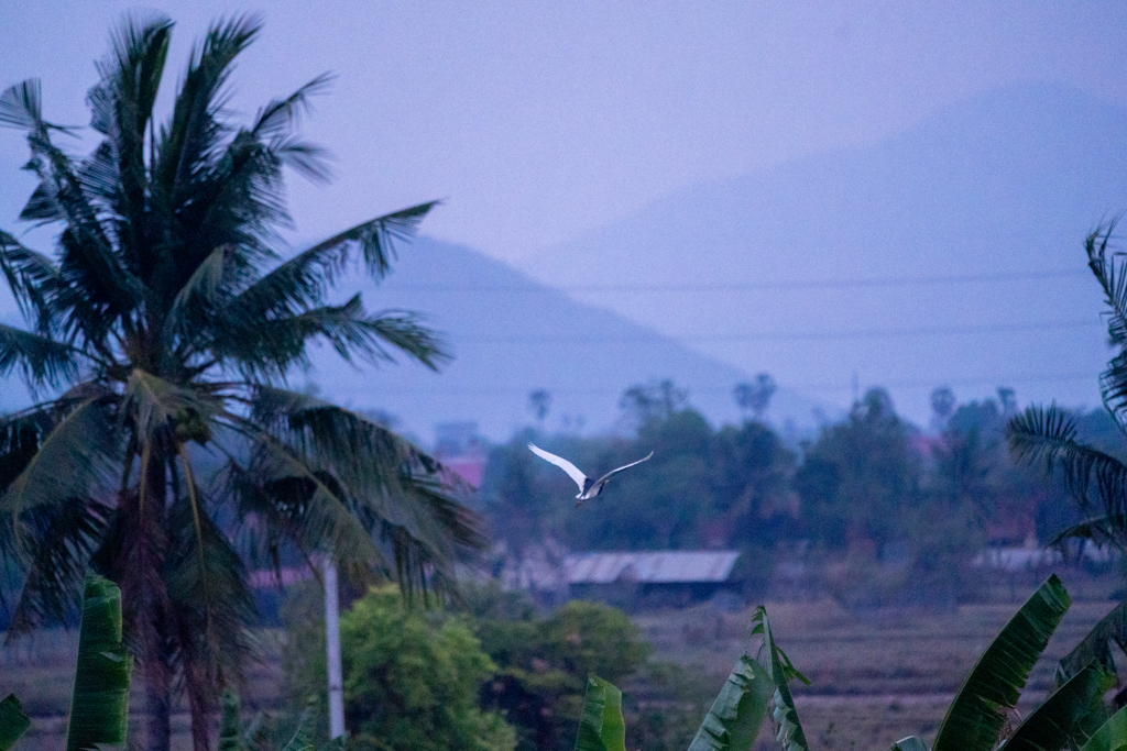 カンボジアの夕暮れ