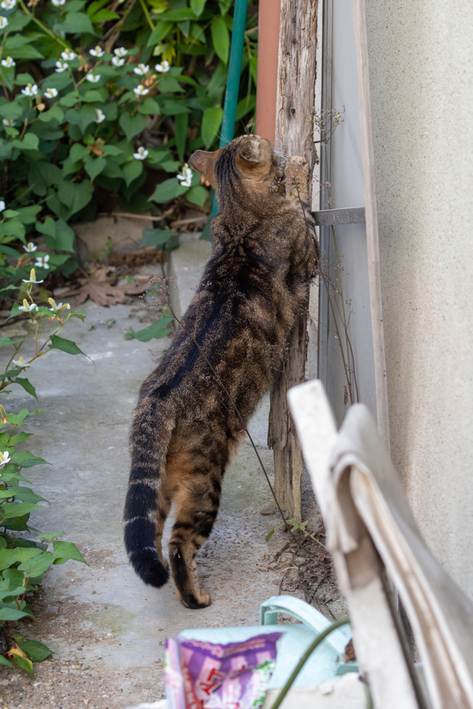 あんただったのね！