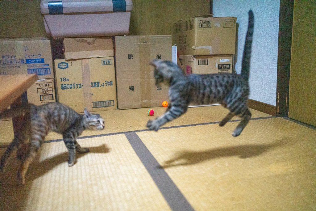 ビックリ！