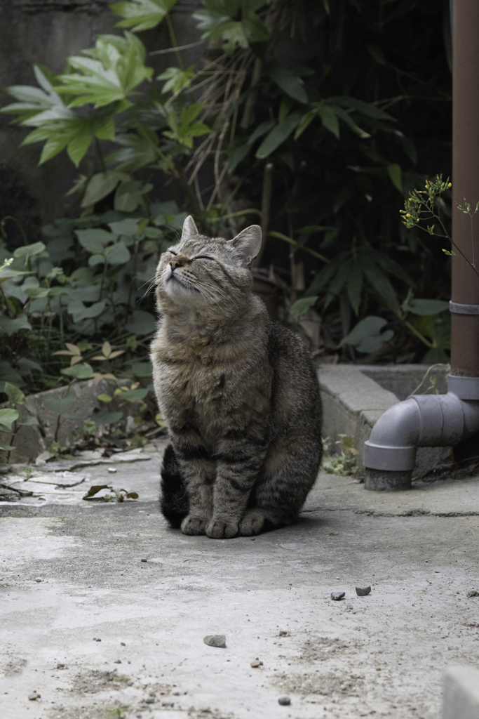気持ちのいい朝