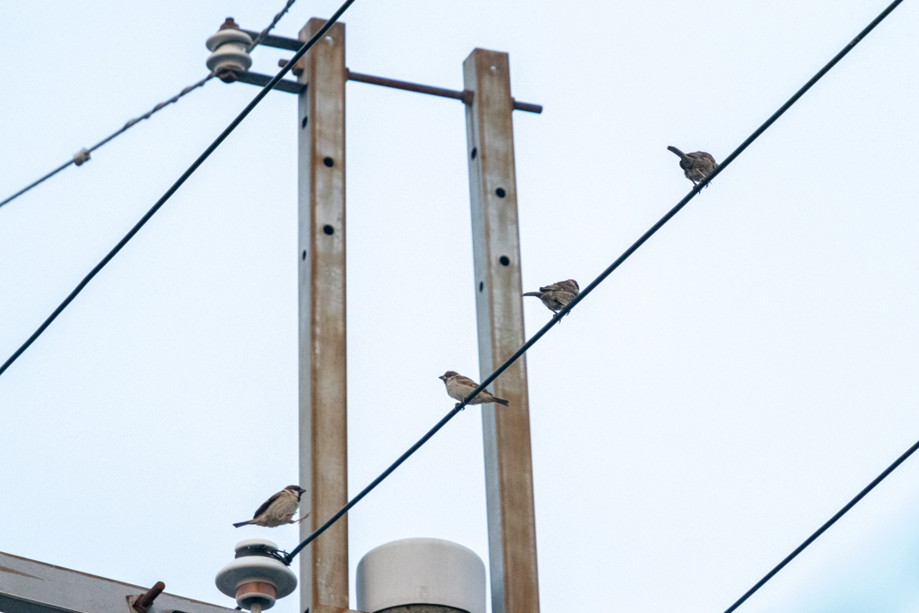 井戸端会議？！