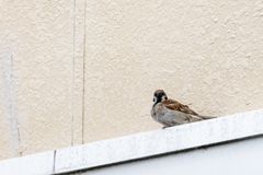 テンション高い！