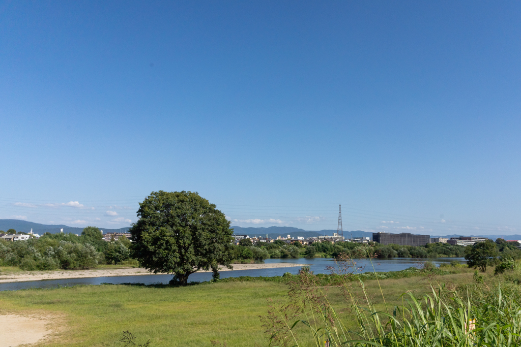 桂川河畔