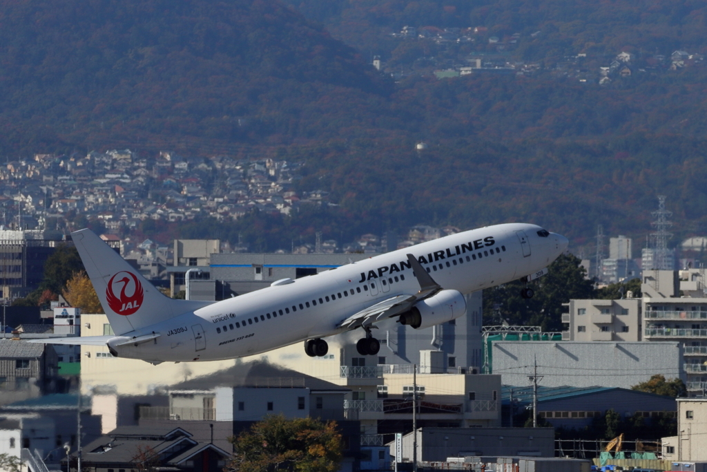 飛行機を見たいけど・・・