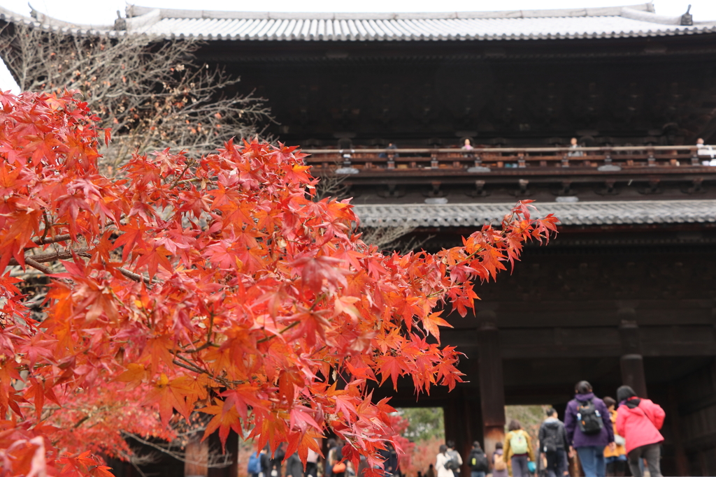 南禅寺三門と紅葉