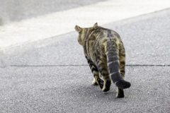 さぁ、そろそろ見回りに行くかな