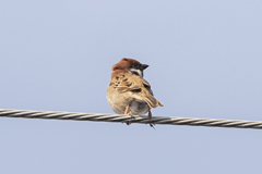 寝癖ついてるよぉ～
