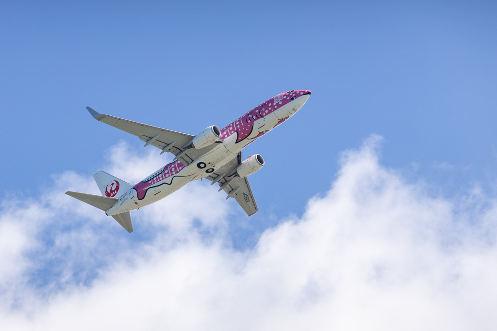 沖縄シリーズ４・那覇空港７