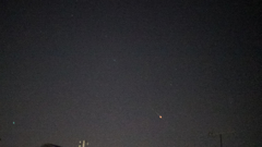 やっと見られたペルセウス座流星群