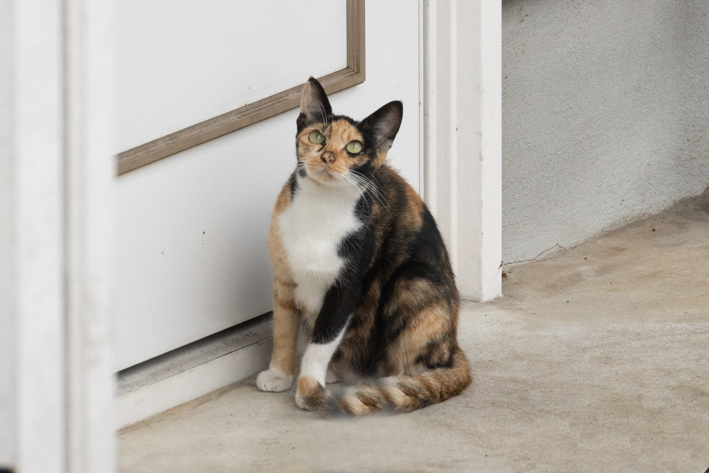 何が見えてるの？