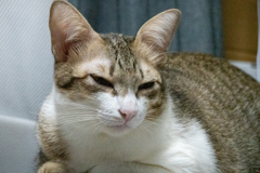 眠い．．．