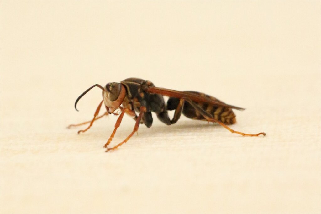 ちょっと休憩
