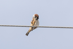 か～ゆ～い～、そこ！そこ！