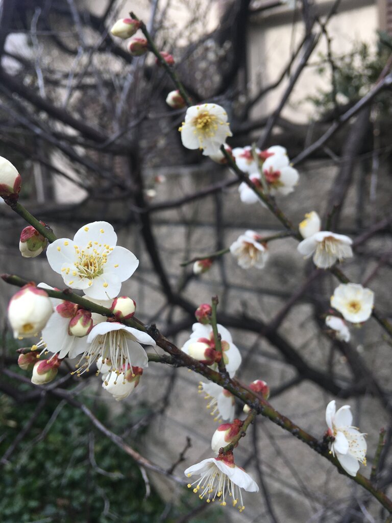 春間近