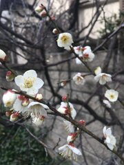 春間近