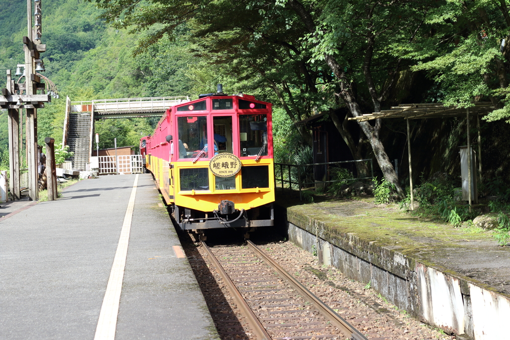トロッコ列車、出発！