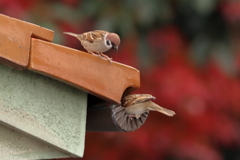 うっ！忘年会で飲み過ぎた～