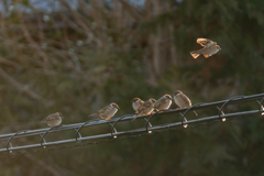 ホッとする時間