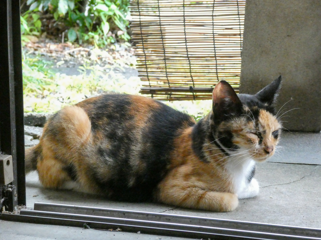ゆっくりお休み