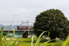 阪急電車、夏を行く