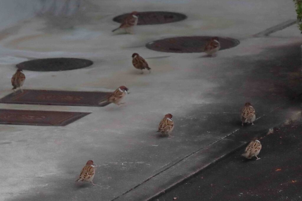 何かお探しですか？