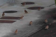 何かお探しですか？