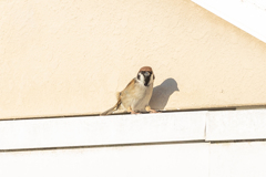 あんた、また撮ってんの？