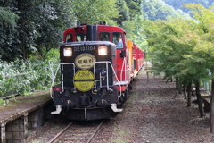 トロッコ列車到着