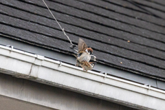 こちらでも．．．