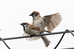 お盛んで（＾＾；