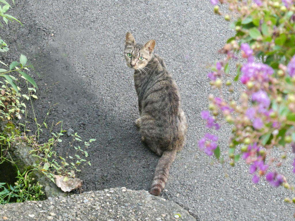 呼んだ？