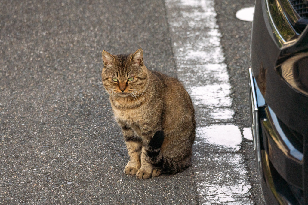 顔が怖い