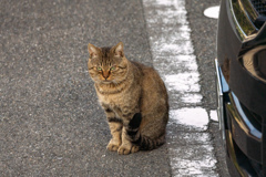 顔が怖い