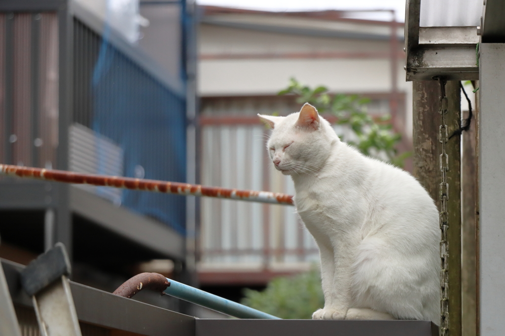 眠いんや！