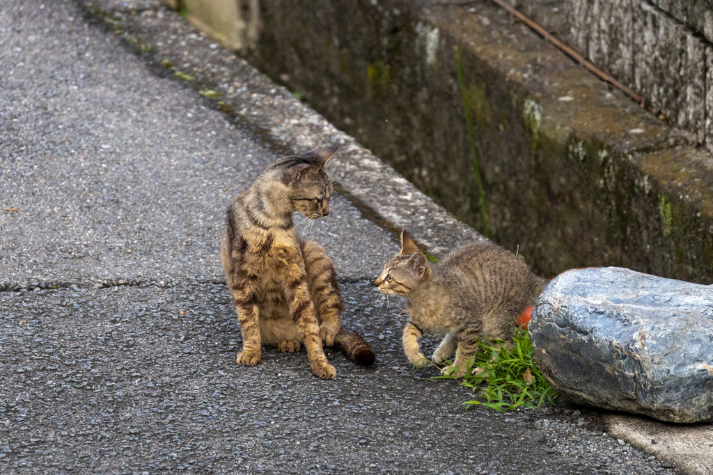 ねぇ遊ぼうよぉ～