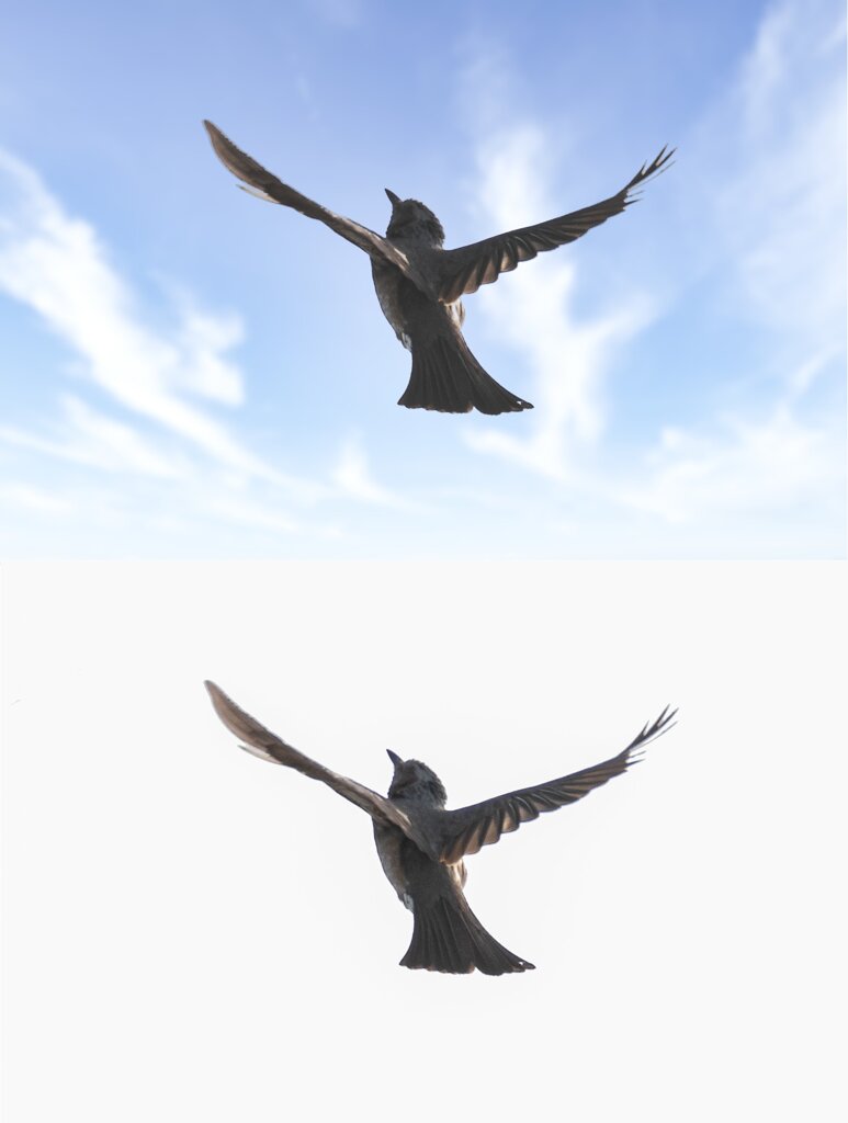 やっぱり違和感があるなぁ