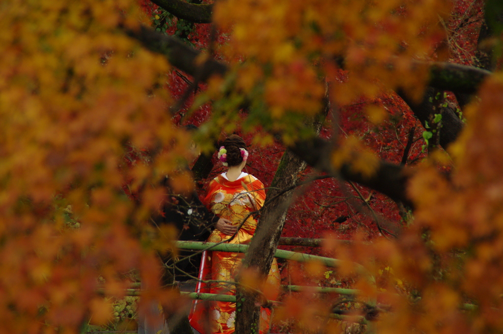 主役は花嫁