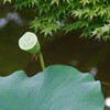 おつかれさま