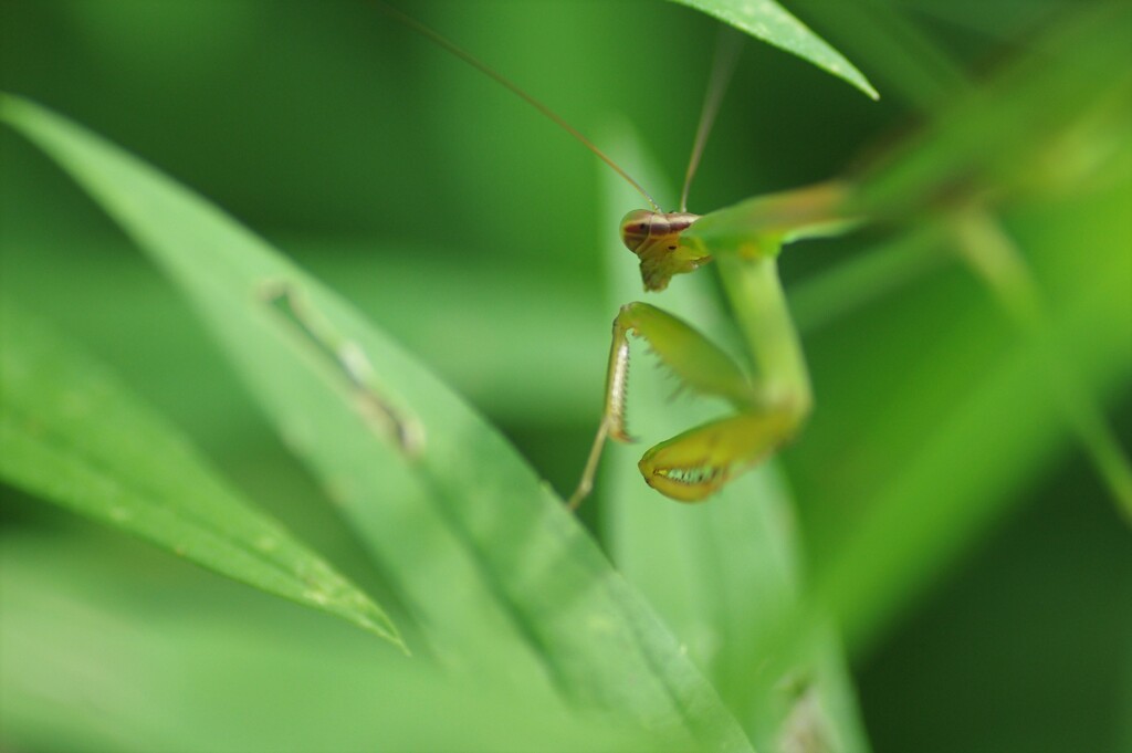 狙う