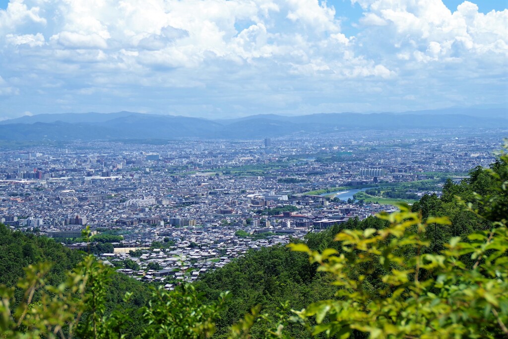 　京都展望