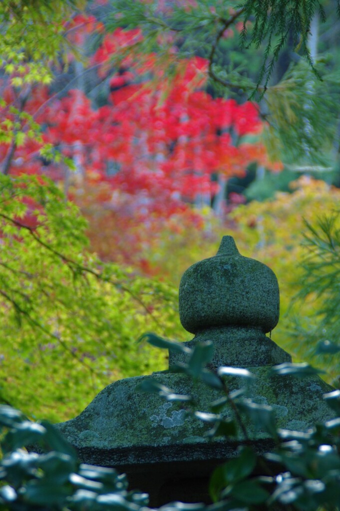 染まる神社3