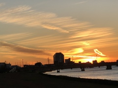 クリオネか！？