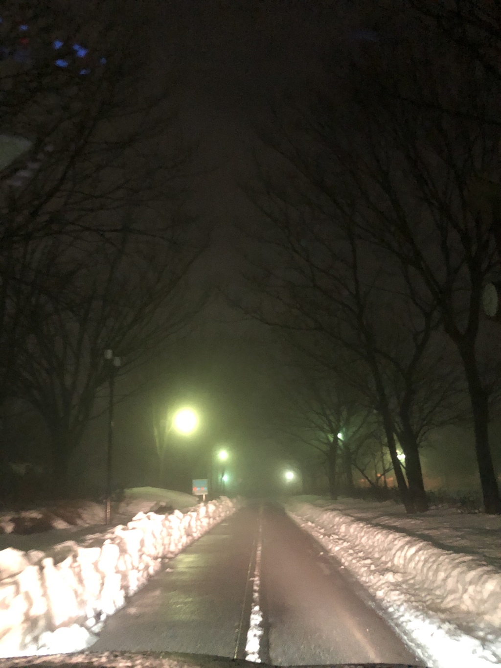 未来は霧の中に