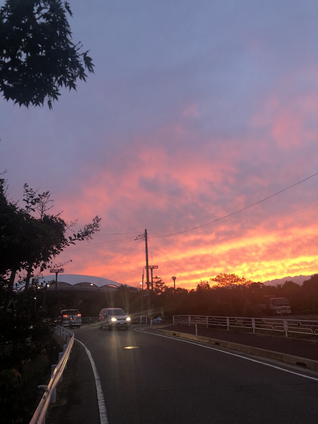 オレンジに燃えてバックアップ！！