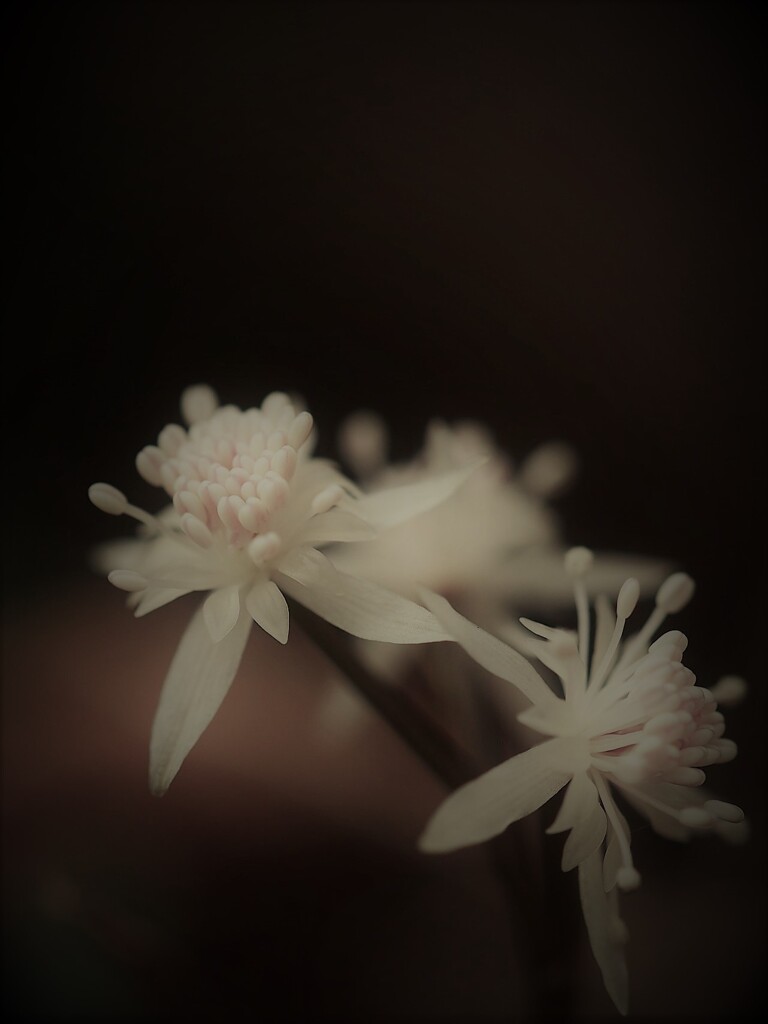 会えて良かった