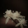 会えて良かった