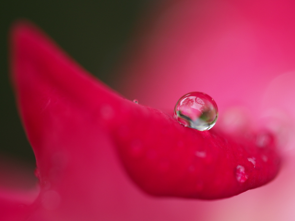 花雫